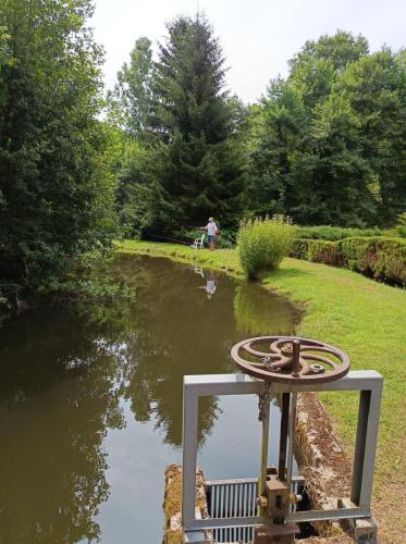 2025-07-03-Tazenat07