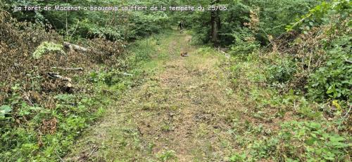 2025-07-07-StRemy06