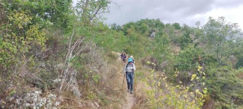 2025-07-31-StSaturnin15