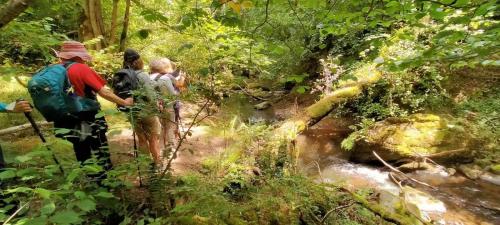 2025-07-31-StSaturnin17
