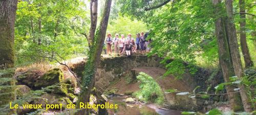 2025-07-31-StSaturnin19