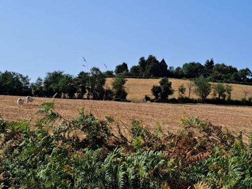 2025-08-12-Montcombroux09