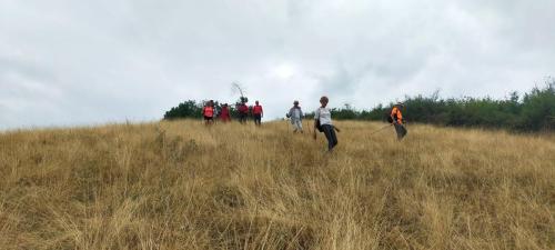 2025-08-19-Ferrieres11
