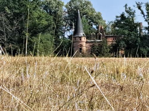 2025-08-26-Saligny01