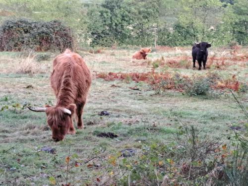 2025-09-09-Lachaux13