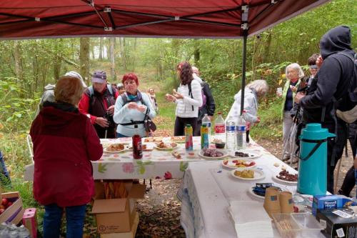 2025-10-12-RandoParty06 (1)