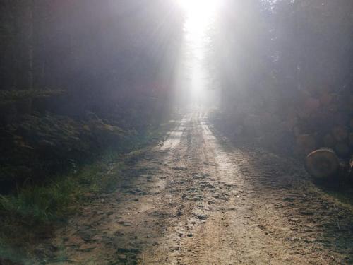 2025-10-14-Ferrieres04