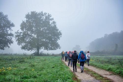 2025-10-16-Brugheas04