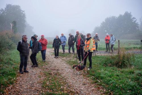 2025-10-16-Brugheas05 (1)