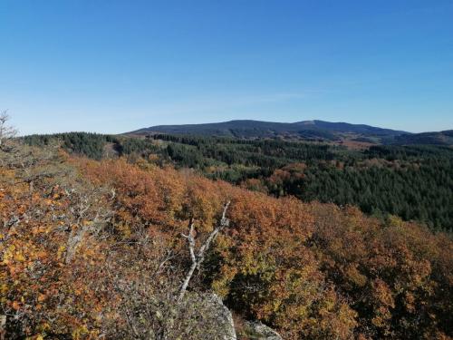 2025-10-30-Lachaux11