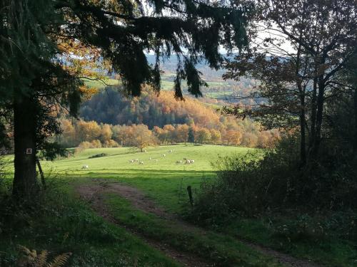 2025-11-06-ChatelMontagne11