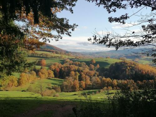 2025-11-06-ChatelMontagne12