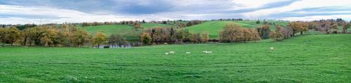2025-11-06-LaBruyere13