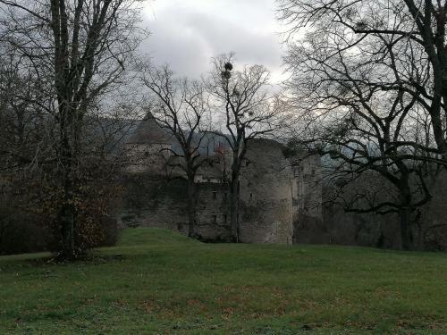 2025-12-11-StBonnet07