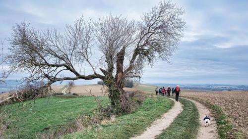 2026-01-02-Ussel14