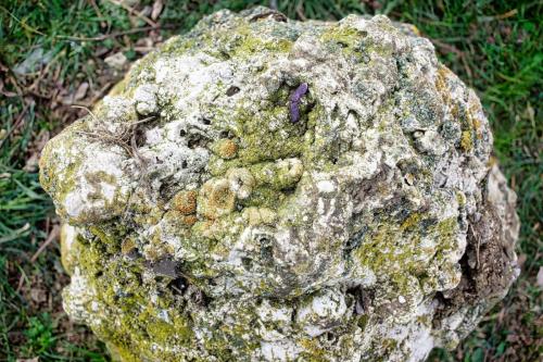 2026-01-02-Ussel16