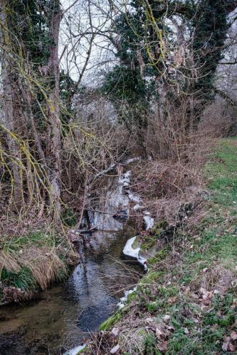 2026-01-05-Hauterive01