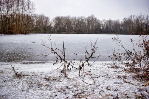 2026-01-05-Hauterive06