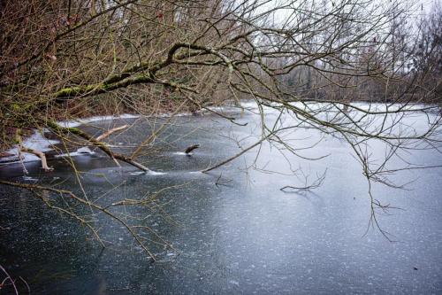 2026-01-05-Hauterive08
