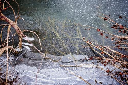 2026-01-05-Hauterive09