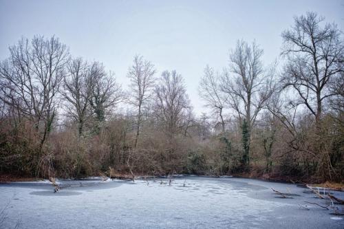 2026-01-05-Hauterive12