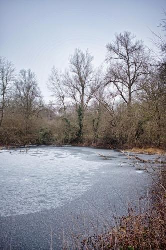 2026-01-05-Hauterive13