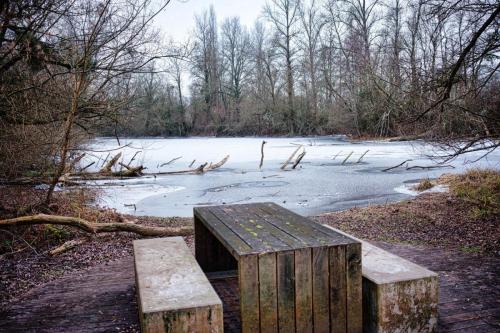 2026-01-05-Hauterive14