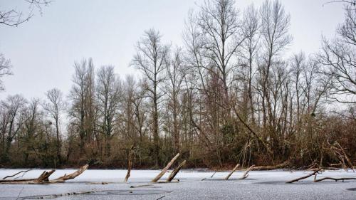 2026-01-05-Hauterive15
