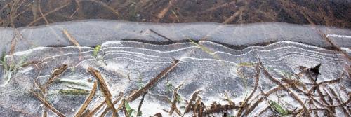 2026-01-05-Hauterive16