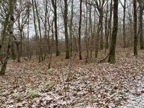 2026-01-06-Serbannes03