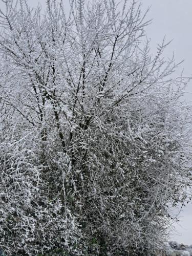2026-01-06-Souvigny01