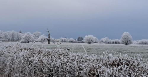 2026-01-06-Souvigny18