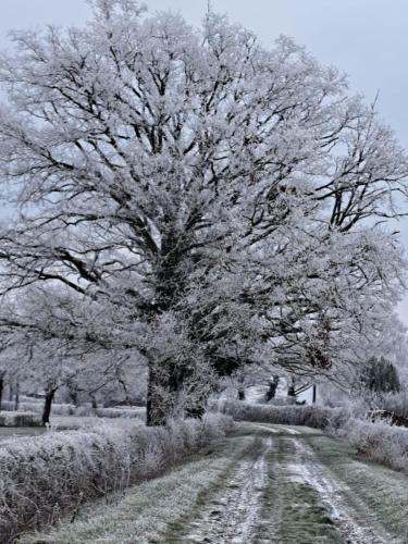 2026-01-06-Souvigny19
