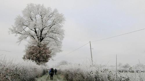 2026-01-06-Souvigny22