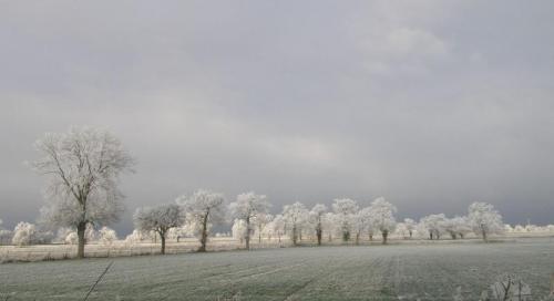 2026-01-06-Souvigny23