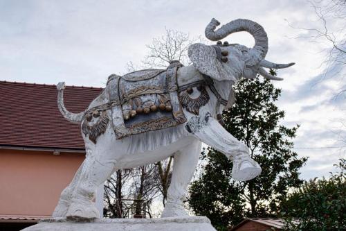 2026-01-12-Cognat11