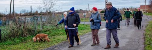 2026-01-12-Cognat15