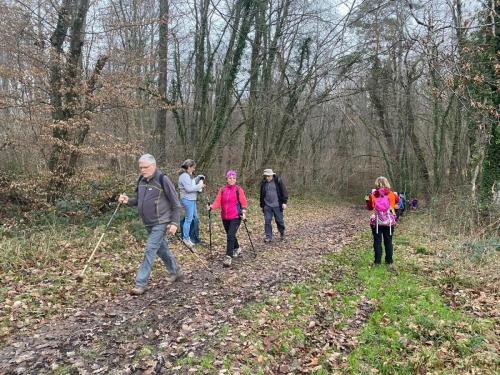 2026-01-13-Brugheas12
