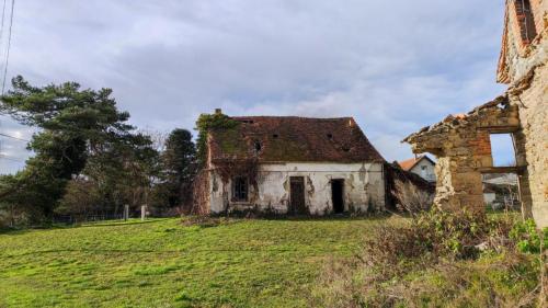 2026-01-13-Brugheas16
