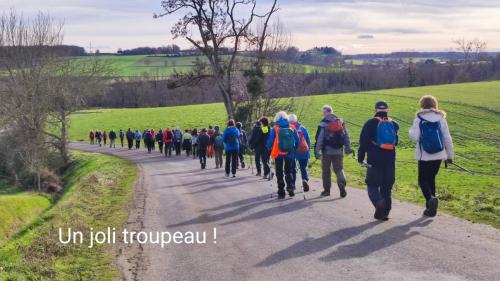 2026-01-13-Brugheas18 (1)