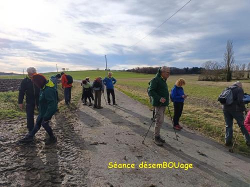 2026-01-13-Brugheas21