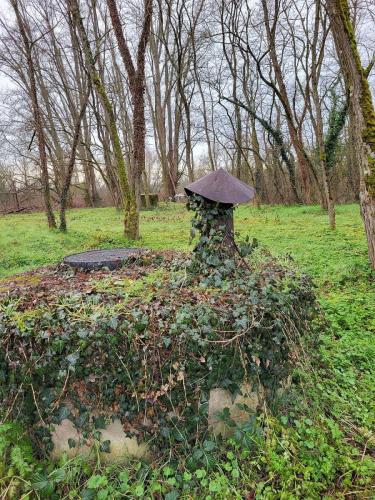 2026-01-19-Vichy05