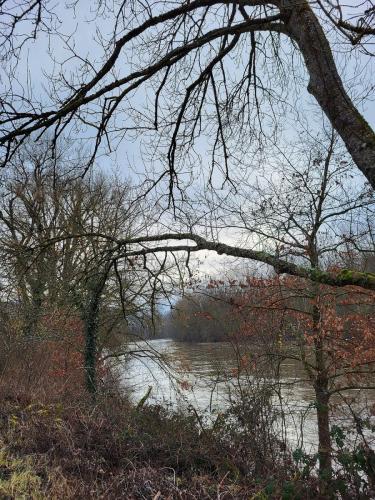 2026-01-19-Vichy06