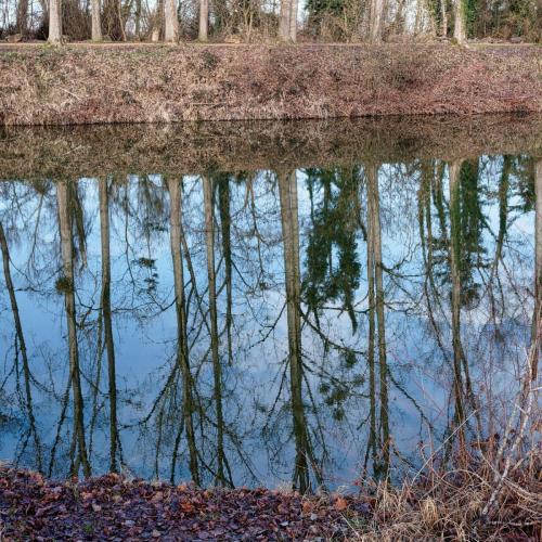 2026-01-26-StGermain11