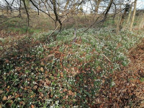 2026-01-29-LeBreuil05