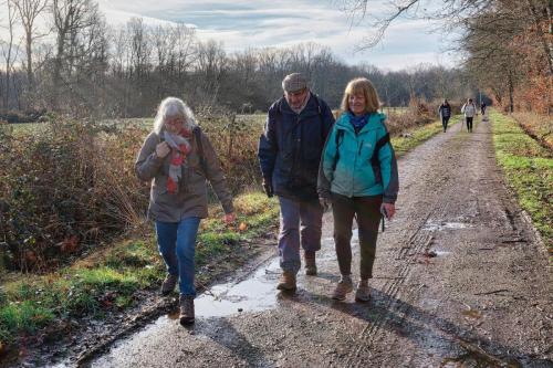 2026-02-02-Brugheas05