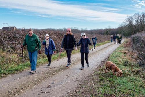 2026-02-02-Brugheas12