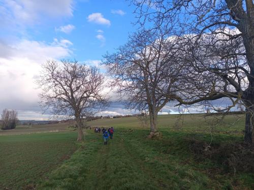 2026-02-03-Charroux07