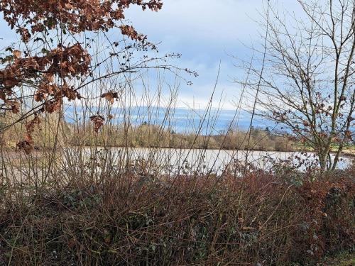 2026-02-03-Chatelperron05