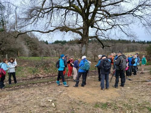 2026-02-05-Busset02